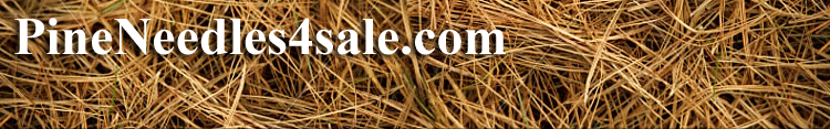 Pineneedles4sale.com